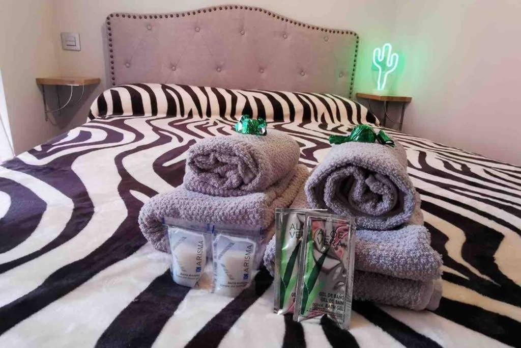 Apartament Acogedor Apartamento En El Centro De Santander Zewnętrze zdjęcie